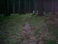 Photo Number 12