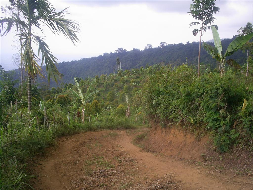 zandpad, bali