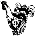 Viborg.gif (4850 bytes)